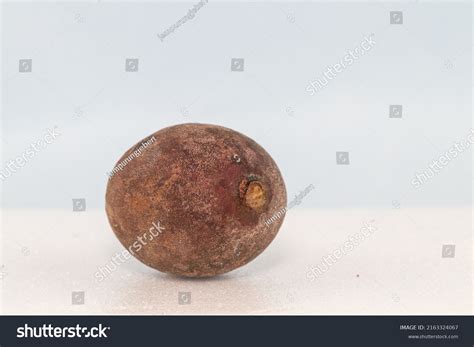 wild manggo mangifera casturi  sabah stock photo