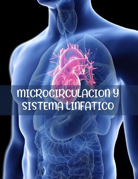 Microcirculación y Sistema Linfático Jeffrey Ariel Loayza Baldellon