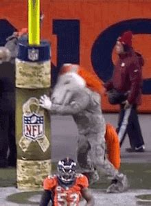 Funny Broncos GIFs | Tenor