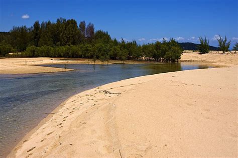 Madagascar Nosy Be Photo Background And Picture For Free Download Pngtree