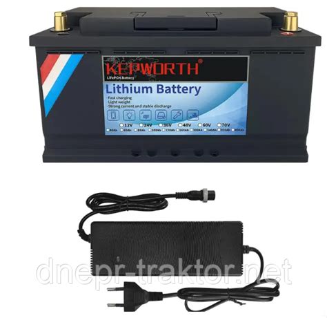Литий-ферумный аккумулятор 100Ah 12V LiFePO4 + зарядка, [Dneprtraktor ...