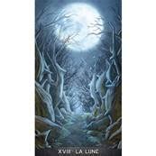 Le Tarot Gregory Scott Jeu Cartes