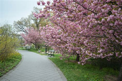 Nature lovers are sharing stunning photos of queens botanical garden online 1