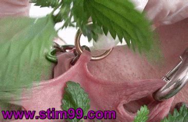 Extreme Nettle Torture The Pussy Is Fill Nettles Marypierced