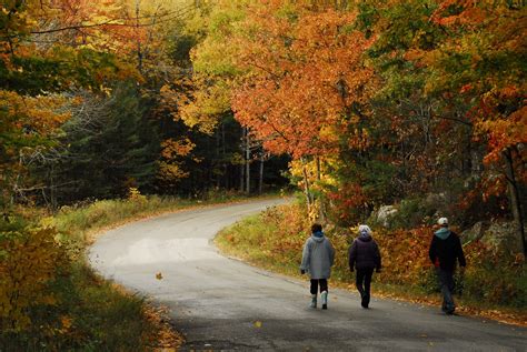 Experience a picturesque, all-inclusive resort in Muskoka this fall