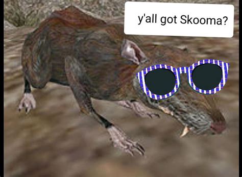 The Rat Merchant Rtruestl