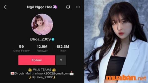 Top Tiktoker Vi T Nam S H U Nhi U Follow Hot Nh T