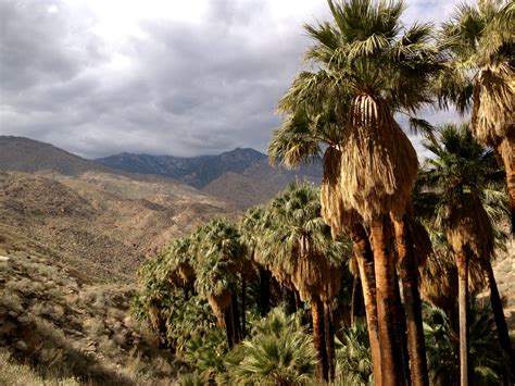 Palm Canyon Trail To Stone Pools Palm Springs California Brians Hikes