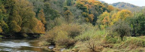 Dining The Wye Valley Hotel Hotel In Tintern Nr Chepstow