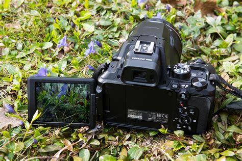 Nikon P950 vs. Nikon P1000: Superzoom Showdown | Digital Trends