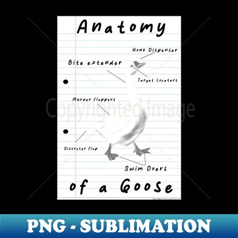 Anatomy Of A Goose Professional Sublimation Digital Downlo Inspire