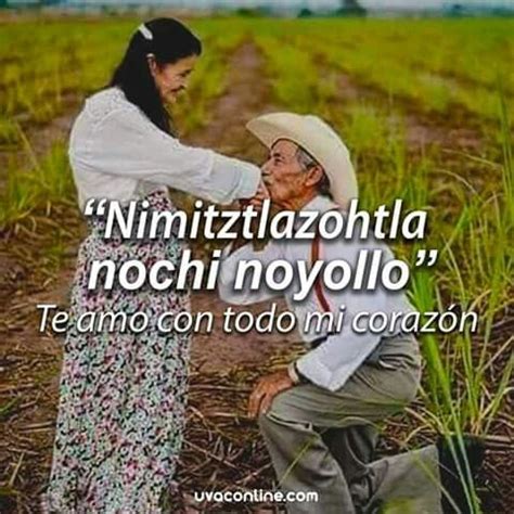 Frases de amor en Náhuatl Comunidades Indigenas de Mexico