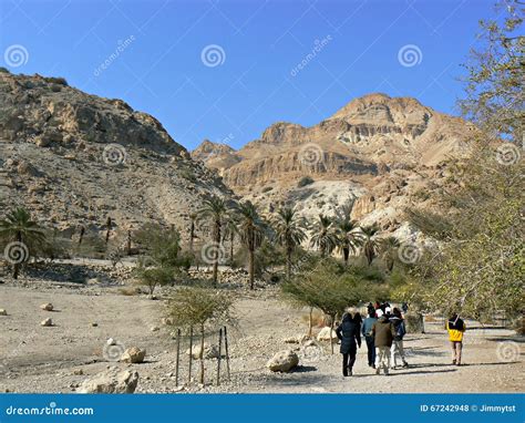 Tourists In Ein Gedi Editorial Stock Photo Image Of Brown 67242948