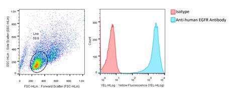 Ba F3 EGFR Del19 L858R T790M Cell Line Kyinno Bio