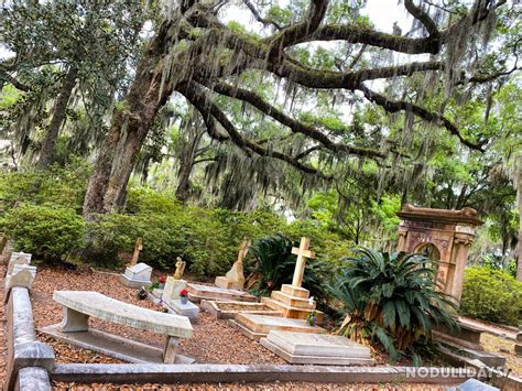 Bonaventure Cemetery Usa