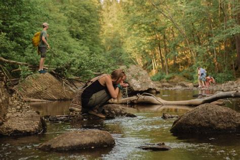 Lysaker River Hiking Tour from Oslo - Book Online at Civitatis.com