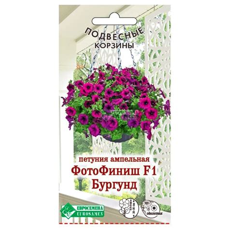 Петуния ампельная Фотофиниш Бургунд F1 Евросемена купить, цена 147 руб ...