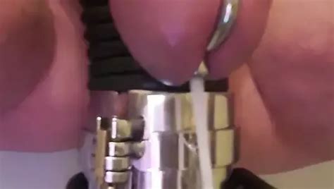 Lush In Cock Shemale Porn Xhamster