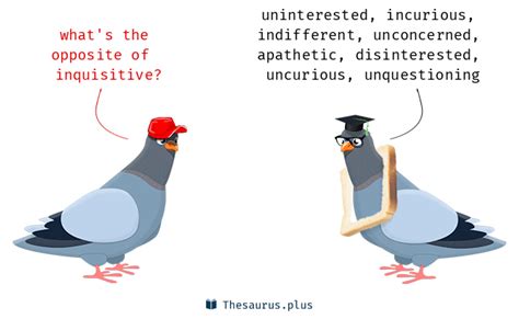 8 Inquisitive Antonyms Full List Of Opposite Words Of Inquisitive