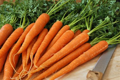Cooking with Carrots | Everyday Jewish Living | OU Life
