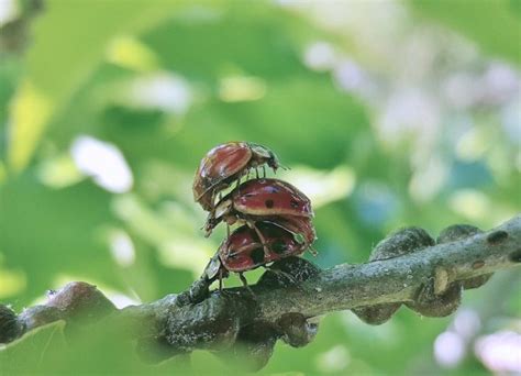 Svatá Trojice dnešní doby Stres Smutek Sex Naučte se Autogenní trénink Radka Loja