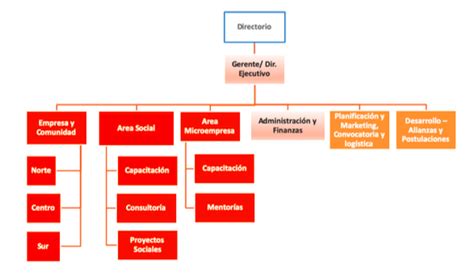 Una Estructura Para Una Organizaci N Sin Fines De Lucro Sim N De Cirene