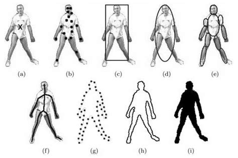 ways   representation   shape  scientific