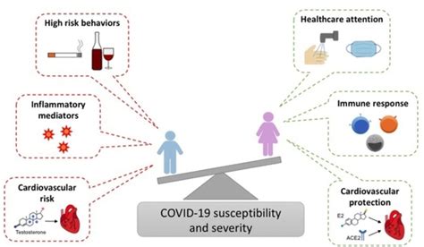 Biomolecules Free Full Text Sex Related Factors In Cardiovascular Complications Associated