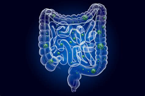 E Coli Treatment