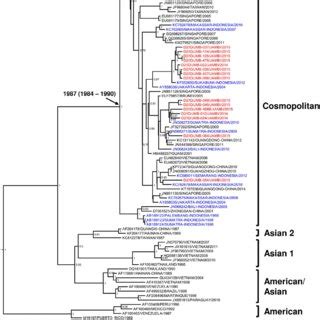 Maximum Clade Credibility Mcc Tree Of Denv Genotypes I And Iv