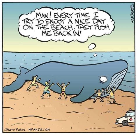 Funny Cartoons Page Freeones Forum The Free Sex Community