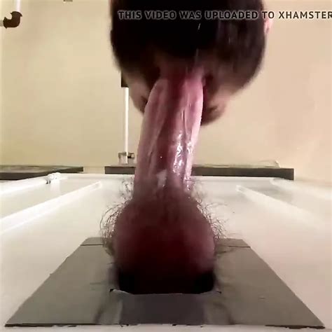 Free Beard Blowjob Gay Porn Videos Xhamster