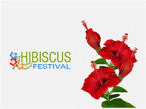 Hibiscus Festival Florida Smart Business Directory