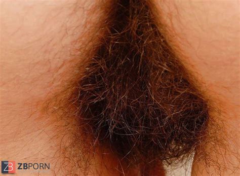 Bucetas Peludas ZB Porn