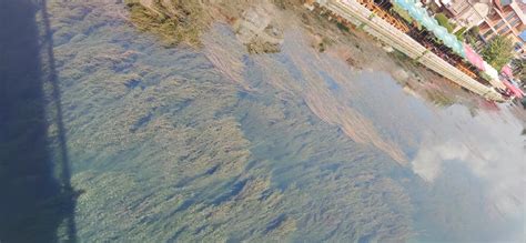 ОК ВМРО ДПМНЕ Струга: Ретко кој ќе се согласи дека Струга е ...