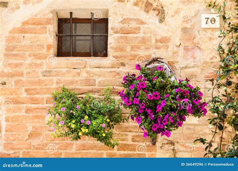 Tuscan Flowers Stock Photo Image Of Plant Architecture 36649296