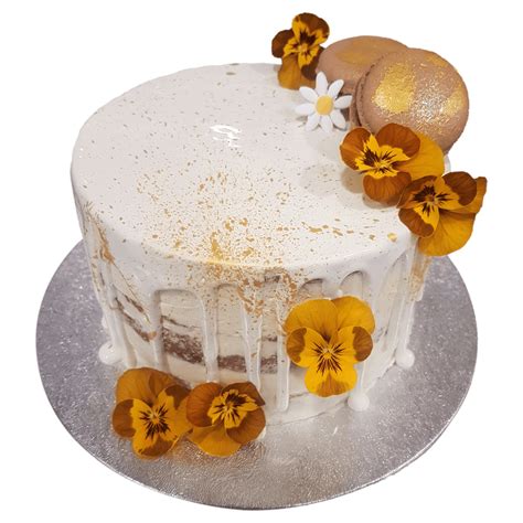 Winter Party Cake Naked Ice Age Royalbake