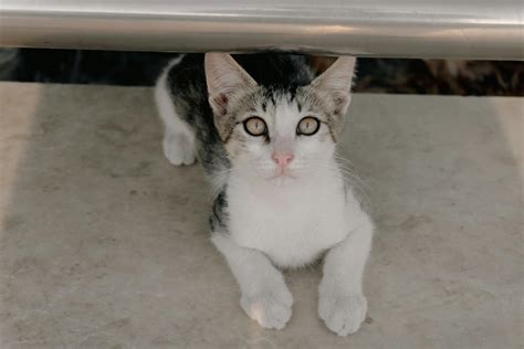 Panties+Down+And+Bend+Over Photos, Download The BEST Free Panties+Down