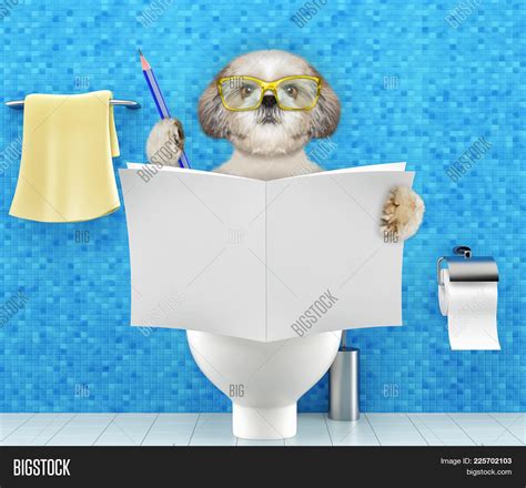 Dog Sitting On Toilet Image & Photo (Free Trial) | Bigstock