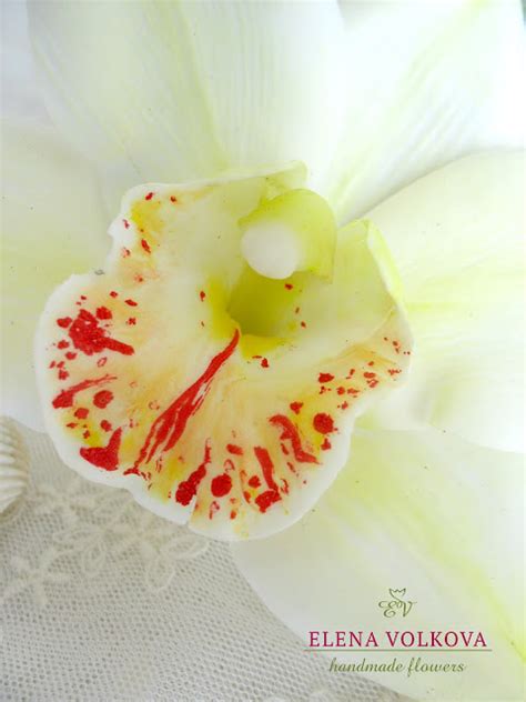 Цветы из полимерной глины Волковой Елены.: Орхидея цимбидиум лимонного ...