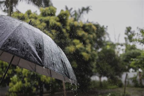 Kerala Schools And Colleges Closed Heavy Rain Warnings For Odisha