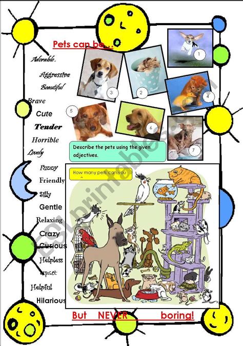 Adjectives For Describing Animals English Adjectives Adjectives Images