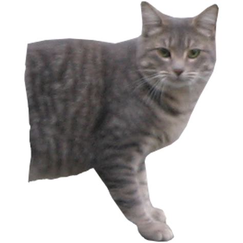 Scp 529 Josie The Half Cat By Sarwet46 And Scp On Deviantart