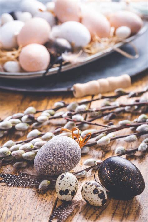 Easter Eggs With Pussy Willow Branch On Wooden Kitchen Table Stock Photo Image Of Life Catkin