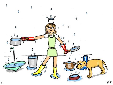 Austin Roof Repair How To Handle An Emergency Roof Leak
