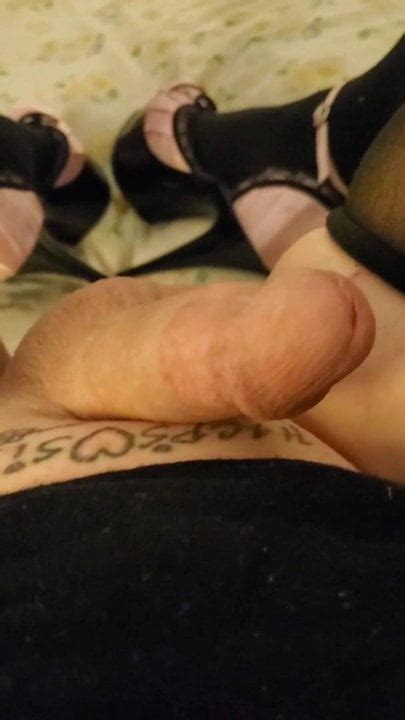 Sissy In Panties And Thigh Highs And Sissy Heels Shemale Stockings Porn Feat HO77 XHamster