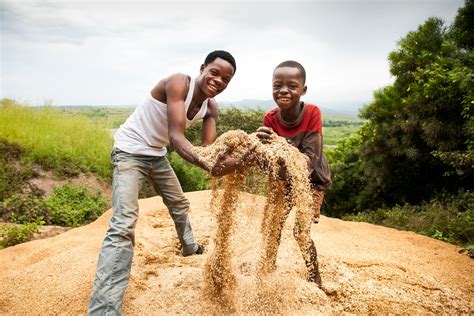 Stories | A walk through the past and the future of Congolese rice: an