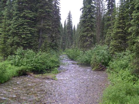 Free picture: stillwater, river, nature, habitat