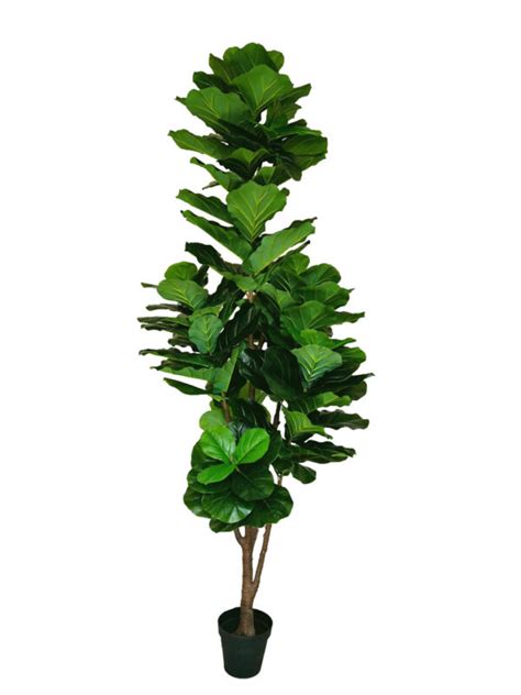 Buy Artificial Giant Fiddle Leaf Fig Tree Feet Fourwalls