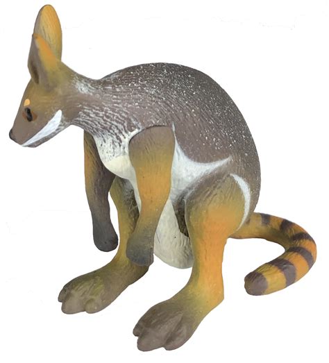 Small Rock Wallaby Replica Pack Of 10 Science And Nature